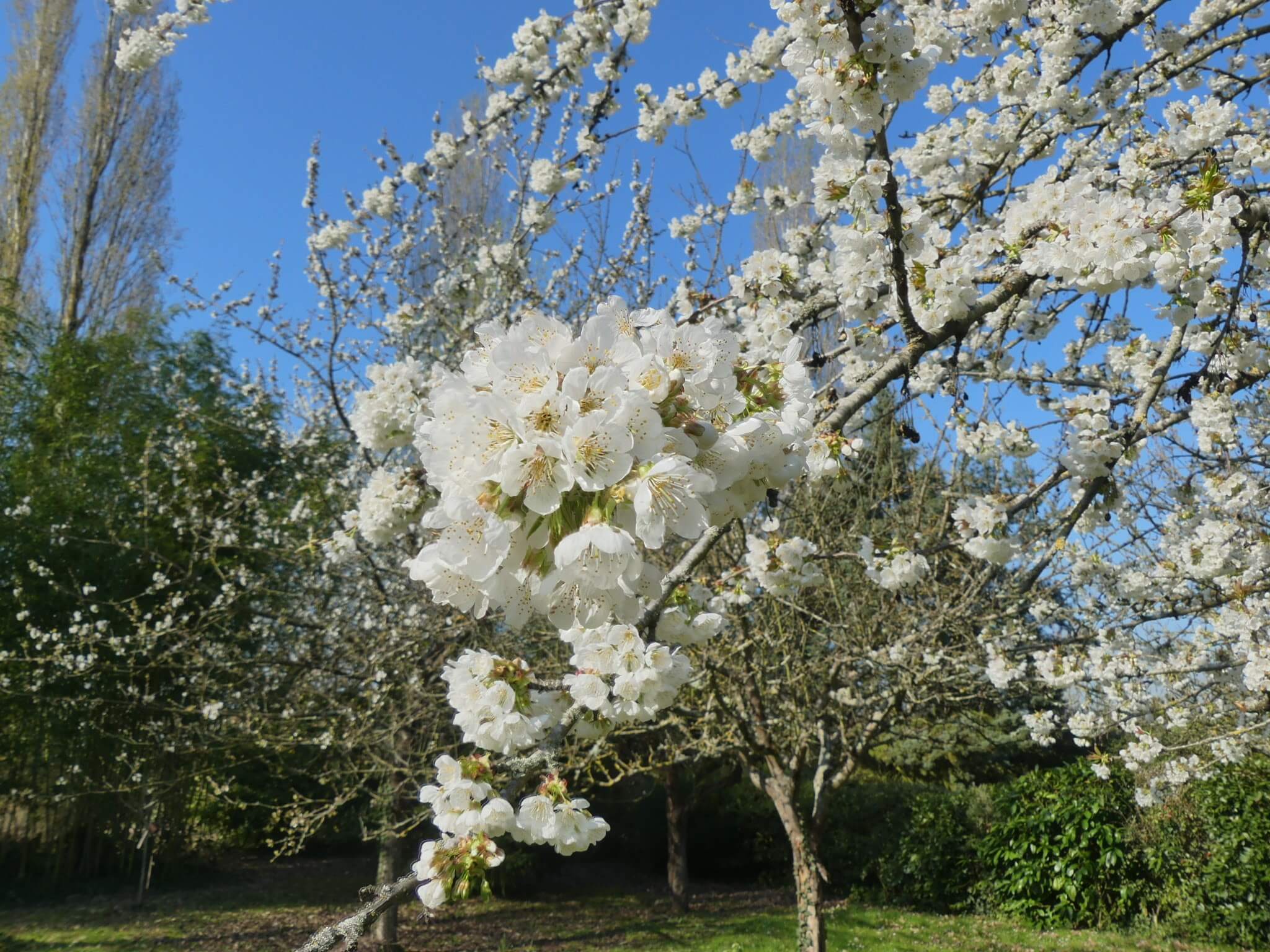 ferme-val-fleuri-gite-bayeux-arromanches-4