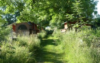 eleveurs-poules-pondeuses-bayeux-chambre-hote-2