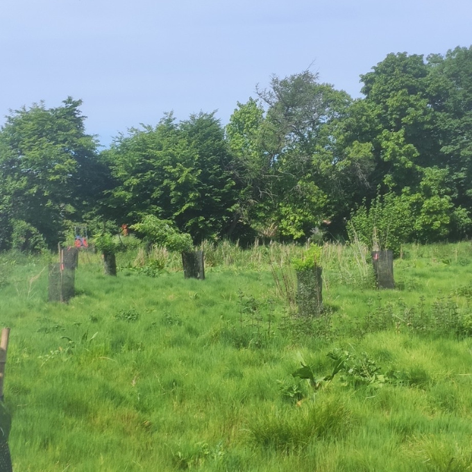 jardin-foret-chambres-hote-bayeux-campagne-plages-debarquement jardin-foret-chambres-hote-bayeux-campagne-plages-debarquement