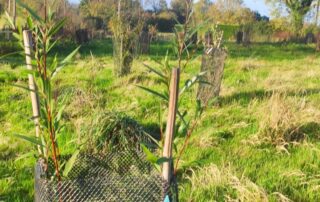 jardin-foret-normandie-bayeux-castillon-gite-ecologique-4